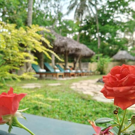 Marari Beach Bungalow Resort Alleppey Mararikulam Exterior photo