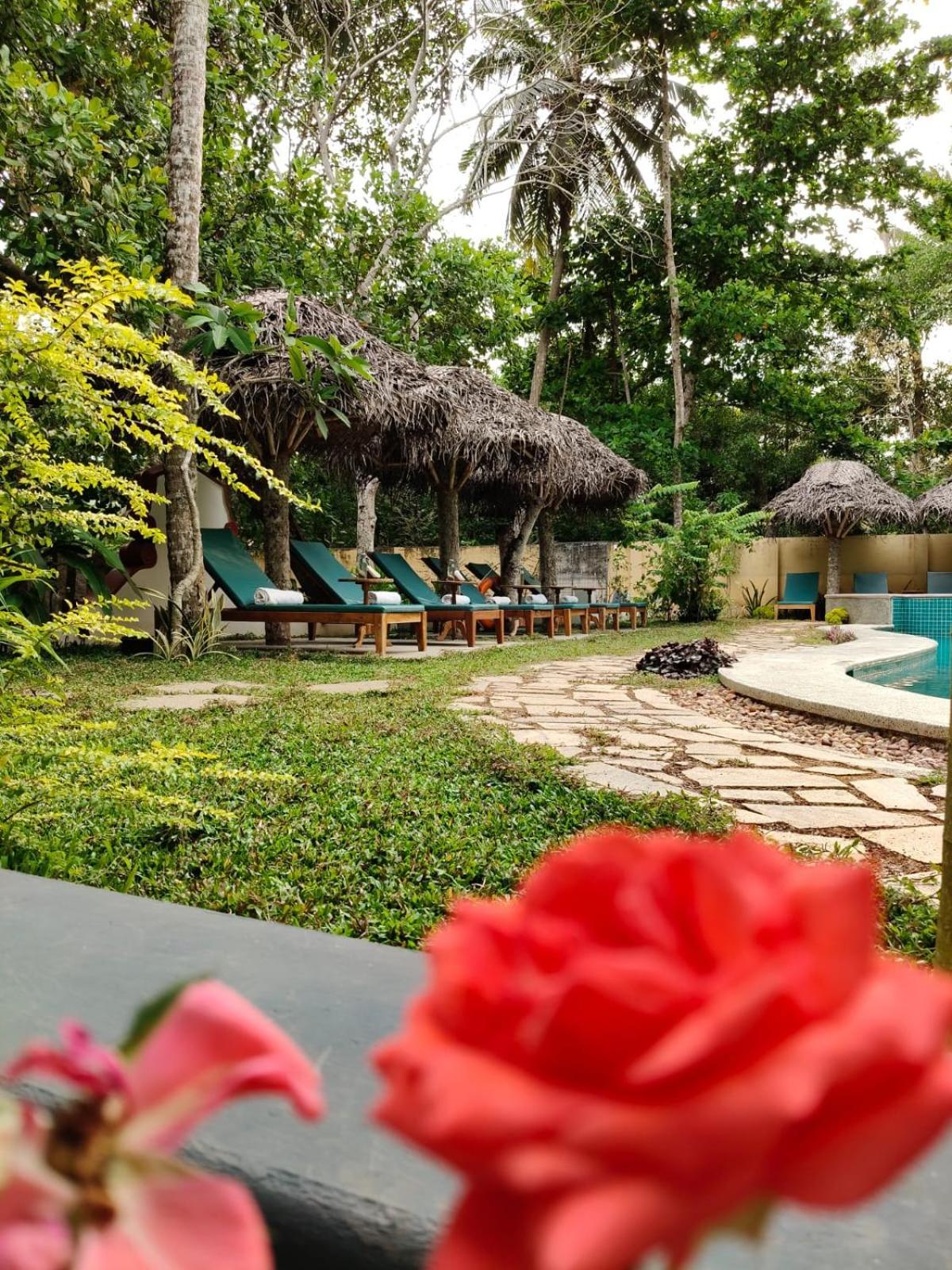 Marari Beach Bungalow Resort Alleppey Mararikulam Exterior photo