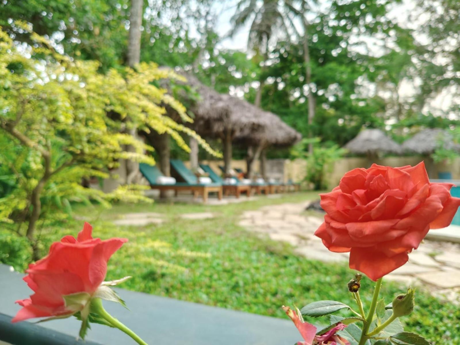 Marari Beach Bungalow Resort Alleppey Mararikulam Exterior photo